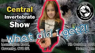 I LOVE my new additions!! My #tarantula #HAUL - Central Invertebrate Show