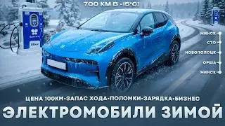 700 КМ на ЭЛЕКТРОМОБИЛЕ в -15&deg;С | Цена 100км, ПОЛОМКИ, запас хода, время в пути
