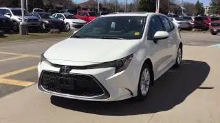 NEW 2020 Toyota Corolla XLE Review Blizzard Pearl 1000 Islands Toyota Brockville