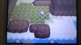 How to get the Draco plate and Aqua plate