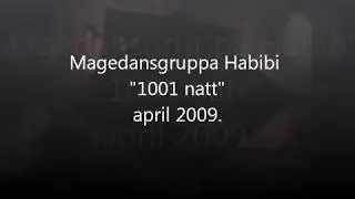 1001 natt  2009  Resyme