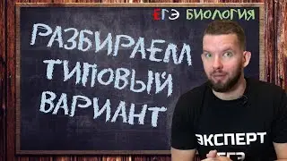 Тренировка перед ЕГЭ | Типовый вариант
