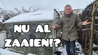 Wat te Poten & Zaaien in Januari! (Zoete Aardappel, Gember & meer)