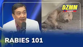 What’s up Doc? Rabies 101: signs, risks, safety tips | Iwas Sakit, Iwas Gastos (31 May 2025)