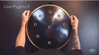 RAV Vast E Low Pygmy