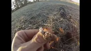 Minelab X-Terra finds. Silver spoon or a fork ring!!!