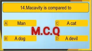 Class 8 English Poem 3 Macavity : The Mystery Cat MCQ | Multiple Choice Questions Class 8