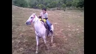 Boquete Beyond Adventure Tours