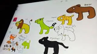 Animal Size Comparison For Kids