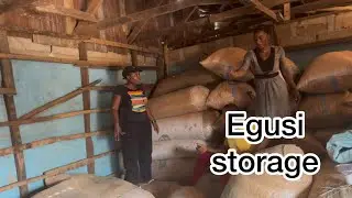 Egusi storage business ||