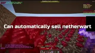 NEW SKYBLOCK NETHERWART MACRO FAILSAFE //25th march 2022//