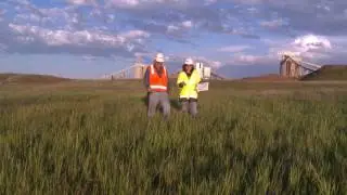 Peabody Land Restoration