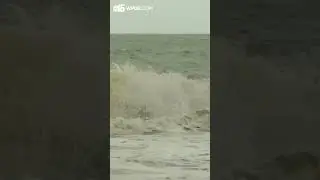 Local man surfs tube in Garden City as Tropical Storm Debby moves up coast