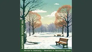 Winter's Snowfall's Slow Dance