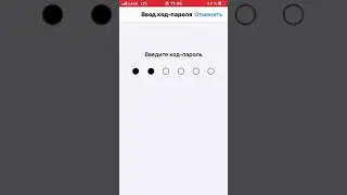 КАК НА iPhone С iOS 13.4.1 ВКЛЮЧИТЬ Touch ID В &laquo;Apply Pay&raquo;???