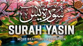 Surah Yasin (Yaseen) سورة يس | Relaxing heart touching voice | Rahman Daily Quran