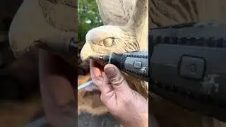 WOOD CARVING A HAWK! #woodworking #trending #reels #asmr  #chainsaw #hawks #birds  #chainsawart #art