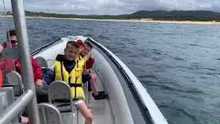 Whale Watching at Terrigal