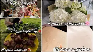 ВЛОГ•Закупка продуктов В ПОЕЗД🚂•МОТИВАЦИЯ НА УБОРКУ🧽•САДИМ КЛУБНИКУ🍓и ГОРТЕНЗИЮ🪻