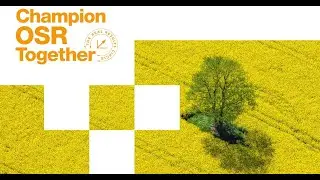 OSR Diaries with Tim Hayward