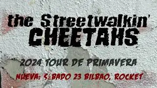 The Streetwalkin' Cheetahs - NEW DATES! 2024 European Tour Promo Teaser #3