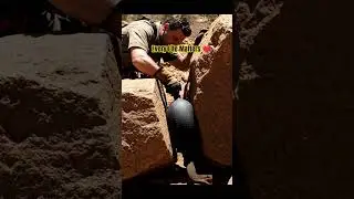 Every Life Matters #wildlife #aishorts #wildliferescue