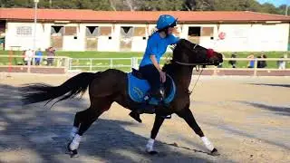 Mounted Games - Challenge Peter Dale 2018 (Istres) - Nicole & Belinda