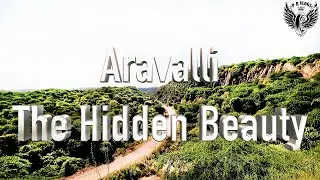 ARAVALLI HILLS GURUGRAM |Hidden spot Near DELHI |Sunday ride to mountains in delhi/ncr