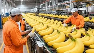 Inside A Banana Bread Factory&ndash;An Incredible Automated Production process|PROCESS MATTER #howitsmade