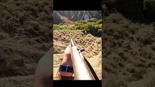 Тишина леса нарушена! Внезапно появившийся дикий кабан и решающий выстрел охотника #chase #охота