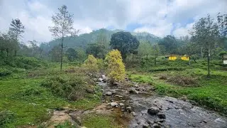 Yercaud hills car ride 