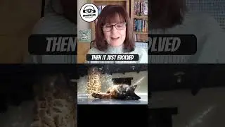 YOUR ANIMAL IS YOUR MIRROR 🐾 with Tammy Billups