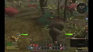 In Case of Ambush Wow Quest