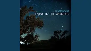 Living in the Wonder