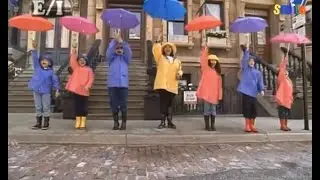 THE RAINFOREST SONG 🌂 dooley and pals music video