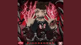 Bloodhound