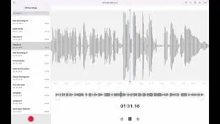 Vitamin A | Voice Memo
