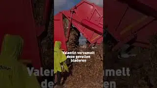 Releaf Paper