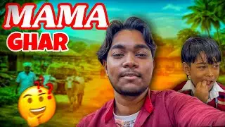 Papa ke Mama Ghar Ghumne Aaye ❤️ | indian village daily life vlog