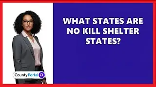 What States Are No Kill Shelter States?