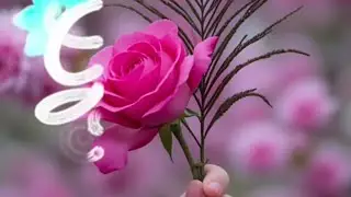 শুভ বিকাল বন্ধুরা 🤗 কেমন আছো সবাই 💐