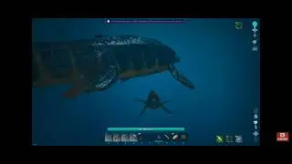ARK memes