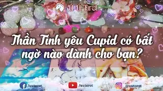 🍓💕🌹 Chọn 1 tụ bài Tình yêu - Thần Tình yêu Cupid có bất ngờ nào dành cho bạn? Ú Ú Tarot