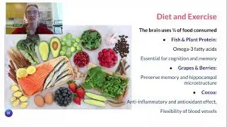 Neuroplasticity of Habits