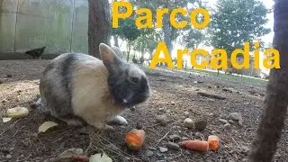 Parco Arcadia - Bareggio