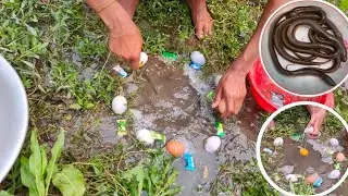 Amazing Fishing With Eggs & Chocolate || Naturally Food Fishing | Nice! Eel fishing Video.