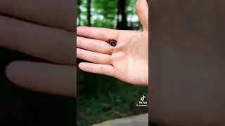 Mini Camera Espion Cach&eacute; Enregistreur,Full HD 1080P Micro Cam&eacute;ra WiFi  