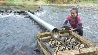 Full Video: Simple Fish Trapping Technique Using Plastic Pipes, The SECRET to Catching Big Fish