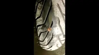 How to Repair a Punctured Tire - заклейка прокола покрышки