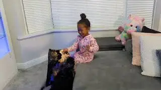 LASER CHALLENGE 2 | My Pet dog and Robot hover had a go too.